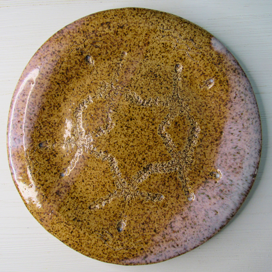 Blush Pink Sandy Ceramic Plate Top View